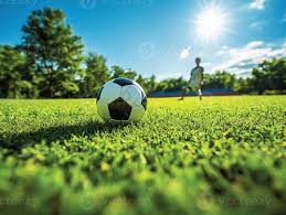 数据分析师赔率研究